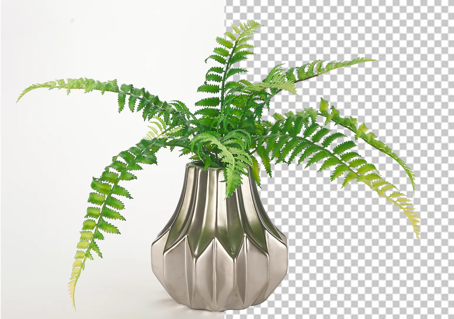 Background Removal